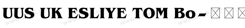 UUS UK ESLIYE TOM Bo字体转换